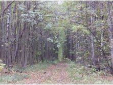 PA011257.JPG