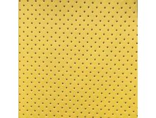 Holes Yellow.jpg
