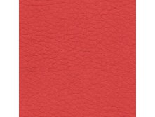 Holst Red.jpg