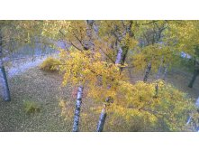 WP 20171016 004.jpg