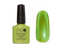 Shellac CeNDy