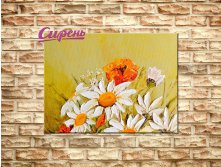 08407 Картина "Ромашки в поле"