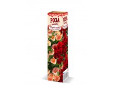 Роза плетистая 180р