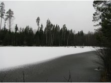 IMG 8064.JPG