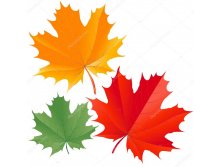 Depositphotos 4179785-stock-illustration-colorful-maple-leaves.jpg