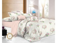 ПОСТЕЛЬНОЕ БЕЛЬЁ ИЗ ПОПЛИНА АРТ.RP-157.jpg
