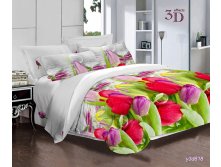 ПОСТЕЛЬНОЕ БЕЛЬЁ ИЗ ПОПЛИНА АРТ.RP-096.jpg