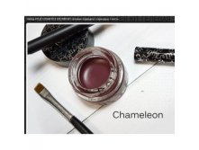       Kylie Kyliner Kit CHAMELEON