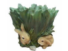 11204    . 433+%.jpeg