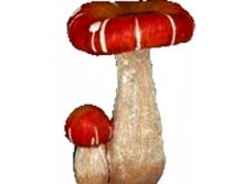 12110     &#8470;2. 258+%.jpeg