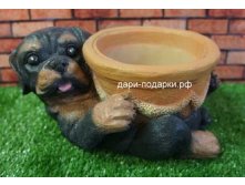 11076    . 304+%.jpg