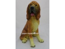 16722   . 1514+%.jpg