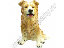 16754    . 876+%.png