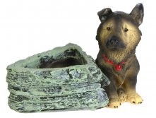 11063    . 308+%.jpg