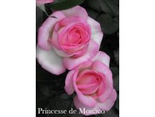 Princesse de Monaco, 205. - ( 1).jpg