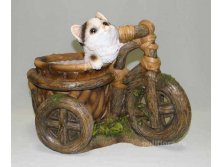 11281    . 552+%.jpg