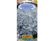 цинерария серебр.кораблик.jpg