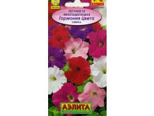 петуния гармония цвета.jpg
