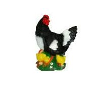 12236     . 724+%.jpg