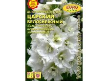 дельфиниум царский белоснеж.jpg