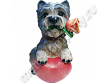 16751    . 464+%.png