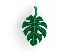  Tropical leaf