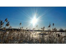 P 20180308 162654 HDR-01.jpeg