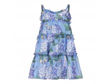  -1123-68 Blue flowers   1210 +%