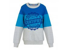 Свитшот СВ-2633 Sport мальчики акция 680 р+орг%