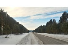 P 20180303 104541 HDR.jpg