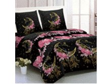 BZ Moon SINGLE M.jpg