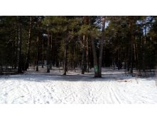 IMG 20180408 083337.jpg