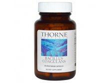 Thorne Research,  Bacillus Coagulans, 60  