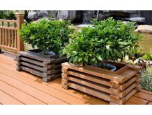 Wood-Planter-Boxes-Terrace.jpg