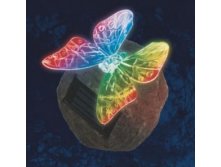 Uniel -  . . 1LED RGB 10x10 .  USL-S-116 RT085 Butterfly on rock 265,00.jpg