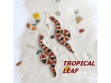 Tropical leaf