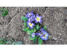 20180506 164722.jpg
