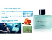Туалетная вода Ascendant Aqua [Эсендент Аква] 30540 75мл