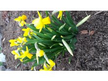 20180506 164625.jpg