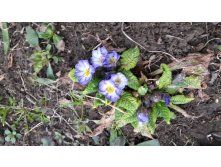 20180502 191445.jpg