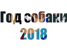 год собаки.jpg
