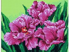   QA 201350   40*50 : 670.00 RUB