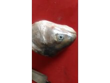 P 20180721 132244.jpg