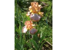 Different world, 180