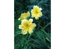 Finders Keepers, 180-200