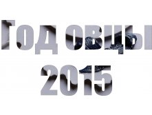 год овцы.jpg