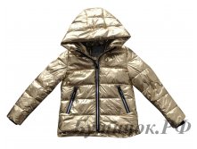 .1050  Moncler  (  ) 1700 .