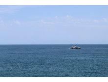 IMG 8926 - .JPG