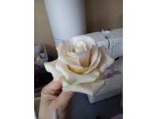 2017-05-16 06-29-52.JPG