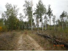 DSCN6023.JPG